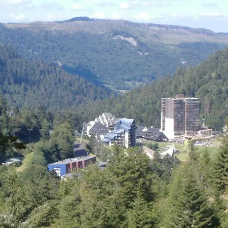 Duplex Confortable Avec Balcon, Coeur De Station, Ideal Pour 4,5 Personnes, Proche Commerces Et Pistes - Fr-1-787-35 شقة Laveissière