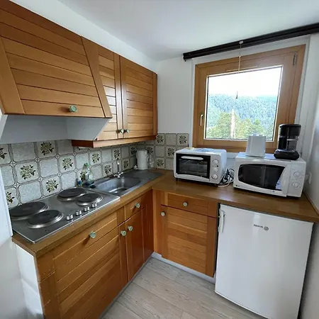 شقة Duplex Confortable Avec Balcon, Coeur De Station, Ideal Pour 4,5 Personnes, Proche Commerces Et Pistes - Fr-1-787-35 *