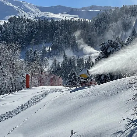 شقة Duplex Confortable Avec Balcon, Coeur De Station, Ideal Pour 4,5 Personnes, Proche Commerces Et Pistes - Fr-1-787-35